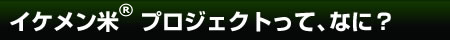 いけめん米®プロジェクトってなに？